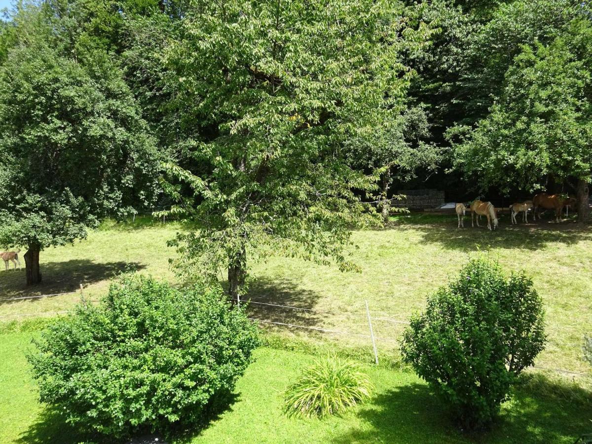 Ferienwohnungen Auhaus Bad Reichenhall Bagian luar foto