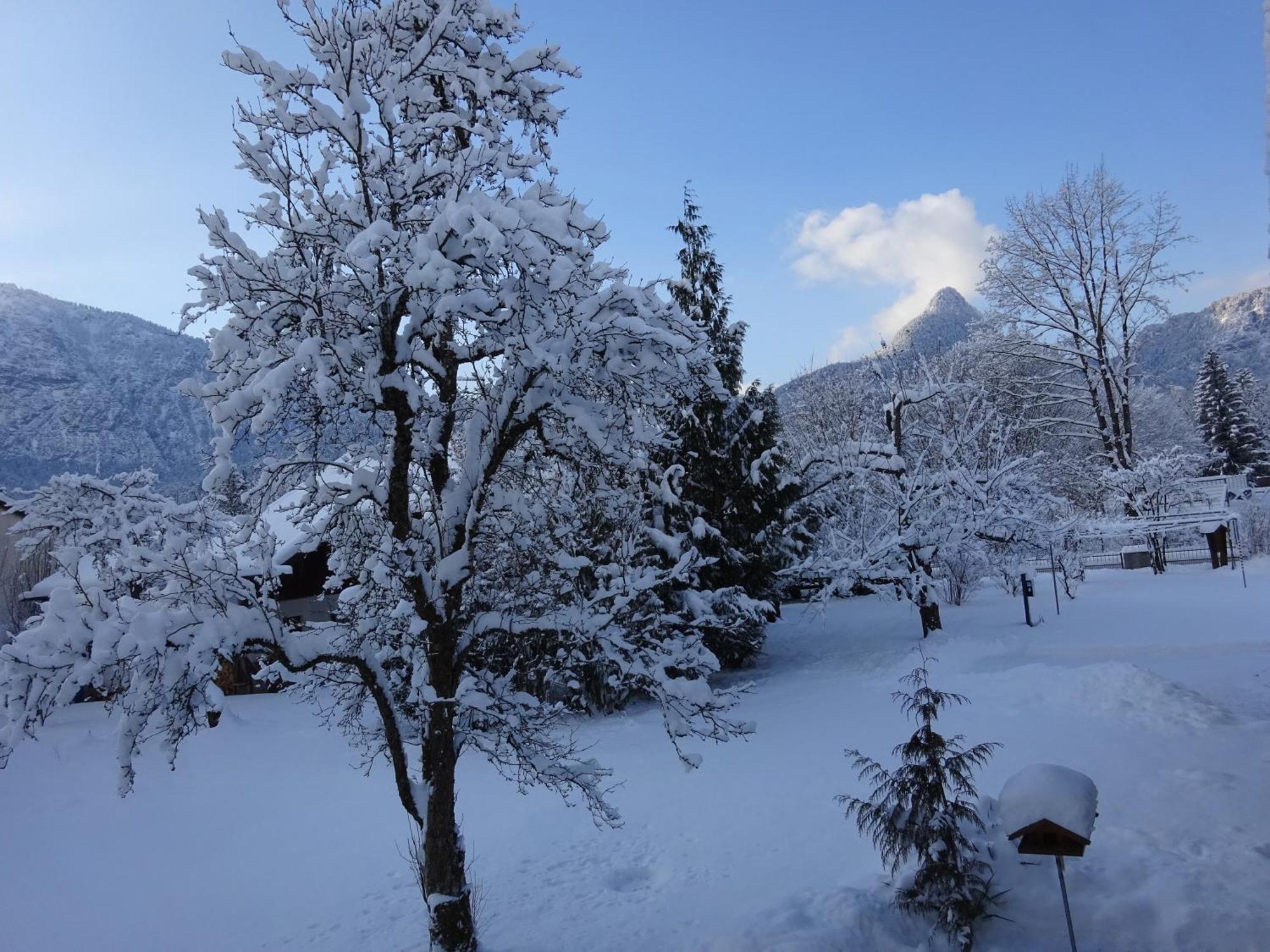 Ferienwohnungen Auhaus Bad Reichenhall Bagian luar foto