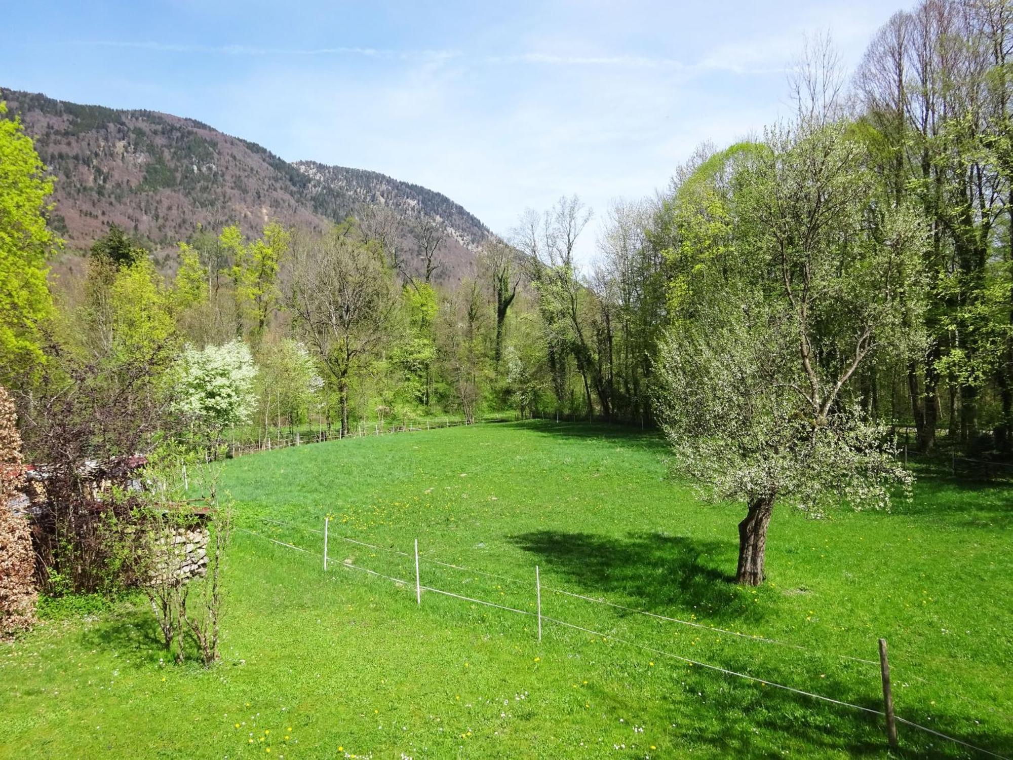 Ferienwohnungen Auhaus Bad Reichenhall Bagian luar foto